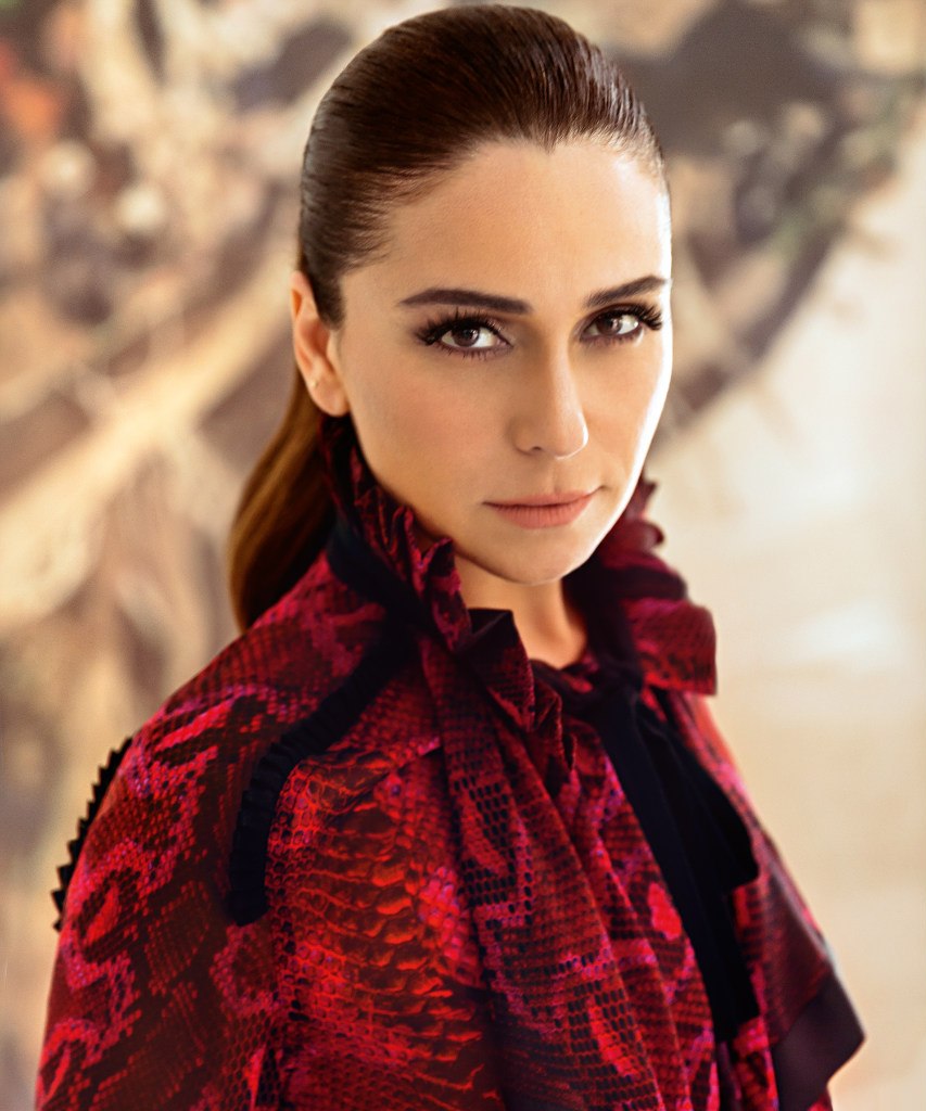 Giovanna Antonelli desktop Wallpapers