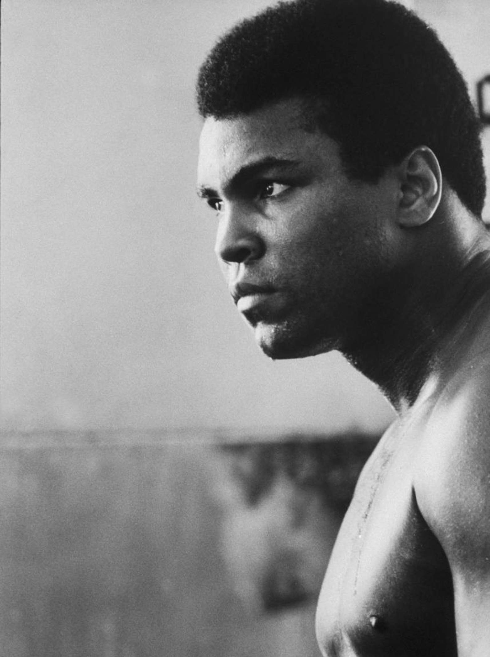 Muhammad Ali photo gallery - 23 best Muhammad Ali pics | Celebs-Place.com1587 x 2126