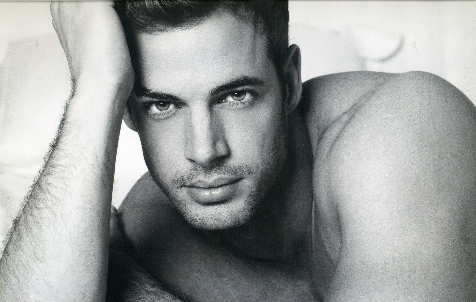 William Levy Photo Celebs Place Com