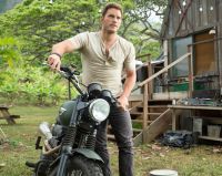 Chris Pratt will perform in a Jurassic World Sequel