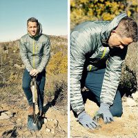 Gordon, a tree of Ryan Reynolds planted for Charity
