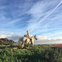 Lady Gaga's Christmas Pony