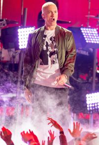 Buy Bricks from Eminem's Demolished House