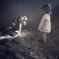 Channing Tatum Grieves over his Goat's Death