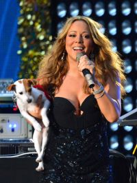 Mariah Carey chooses Luxuriousness for her Jack Russel Terriers
