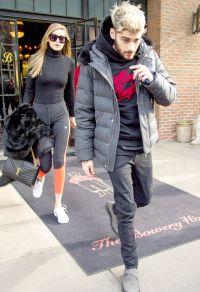 Are Zayn Malik and Gigi Hadid just 'Good Friends'?