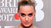 Katy Perry Tells Who Should Be Her Partner On The American Idol Reboot
