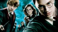 Warner Bros. will release the series on the Harry Potter universe