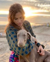 Ryan Gosling and Eva Mendes sheltered the dog