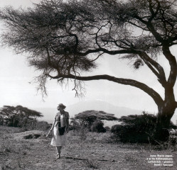 Anna Maria Jopek