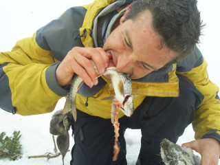 Bear Grylls