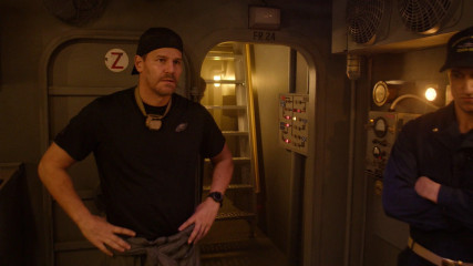 David Boreanaz