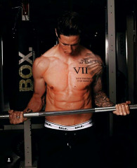 Fernando Torres