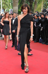Ines de la Fressange