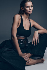 Nicola Cavanis