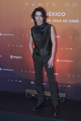 Timothee Chalamet