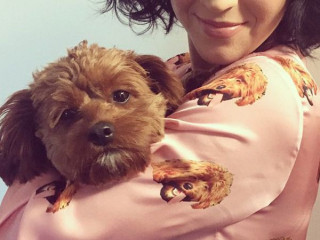 Pyjama Print for Katy Perry's Puppy Butters