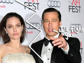 Brad Pitt Wants Joint Custody