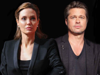 Brad Pitt States Angelina Jolie Shared Custody Case Details