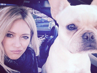Hilary Duff's post after the Death of Her Dog
