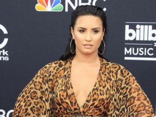 Demi Lovato's mom commented on an overdose of a stellar daughter