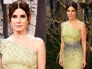 Sandra Bullock conquered the red carpet with a luxurious dress