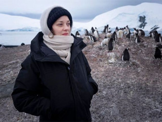 Marion Cotillard made friends with penguins