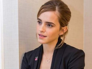 Emma Watson has put her movie career on hold because of her fiance