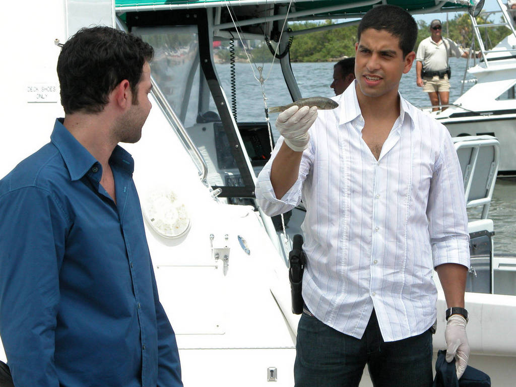 Adam Rodriguez photo #414203