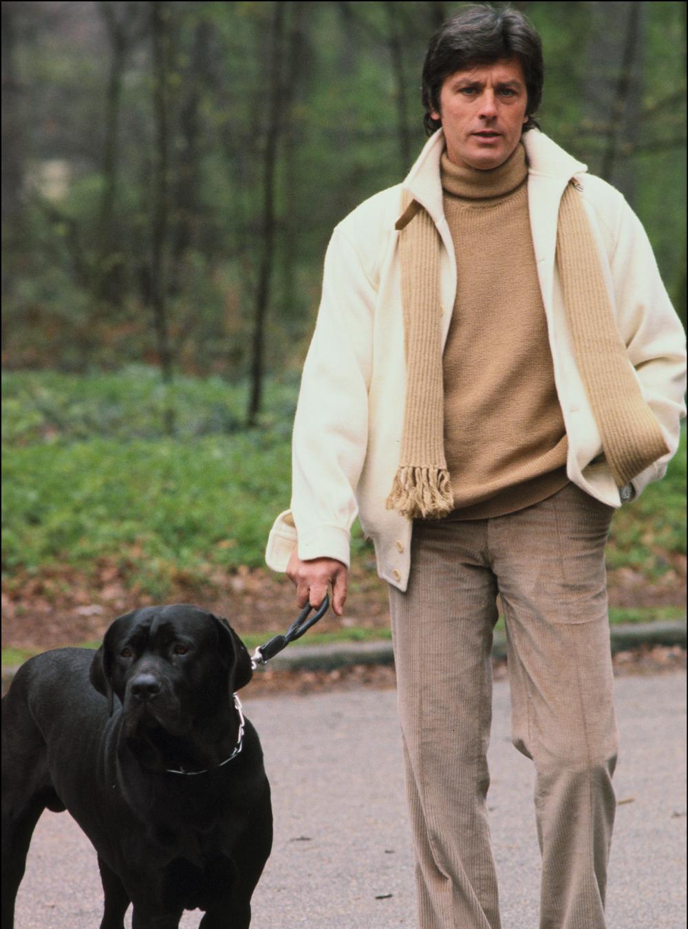 Alain Delon photo #362644