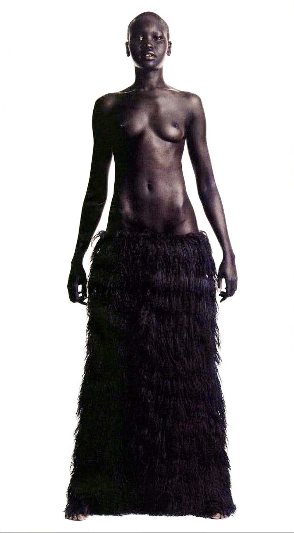 Alek Wek photo #6560