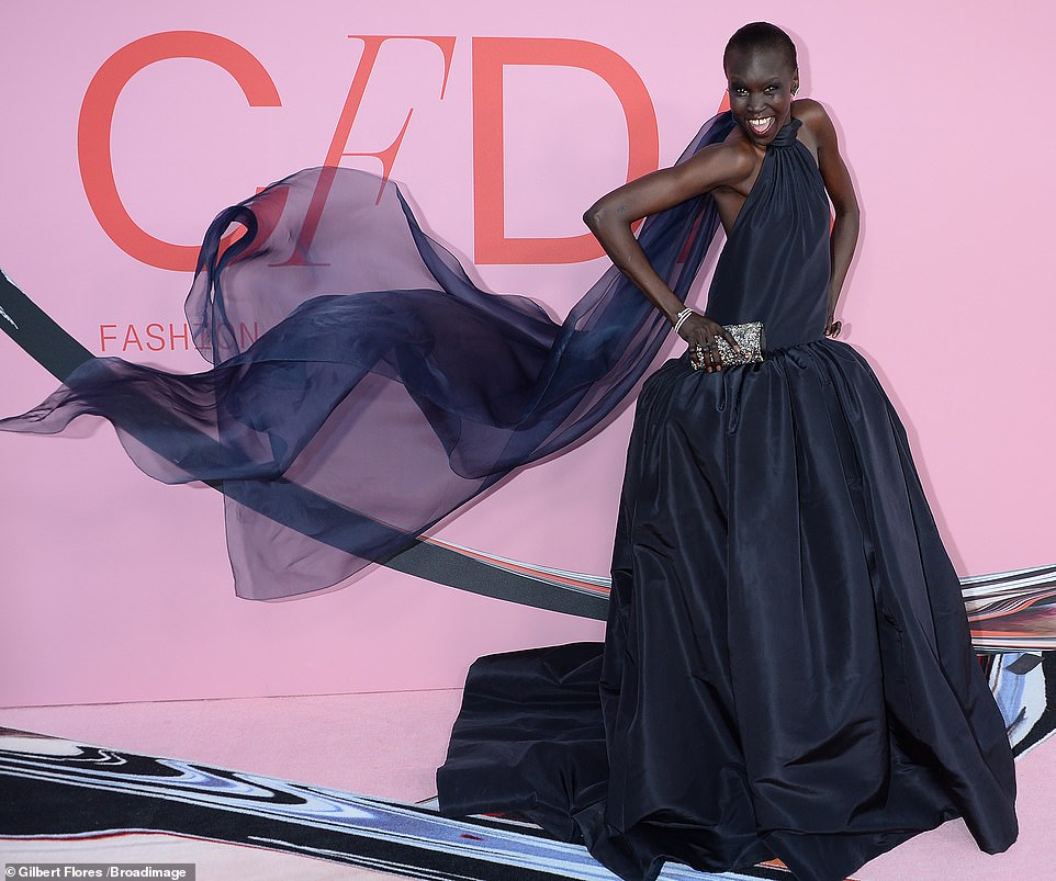 Alek Wek photo #912895