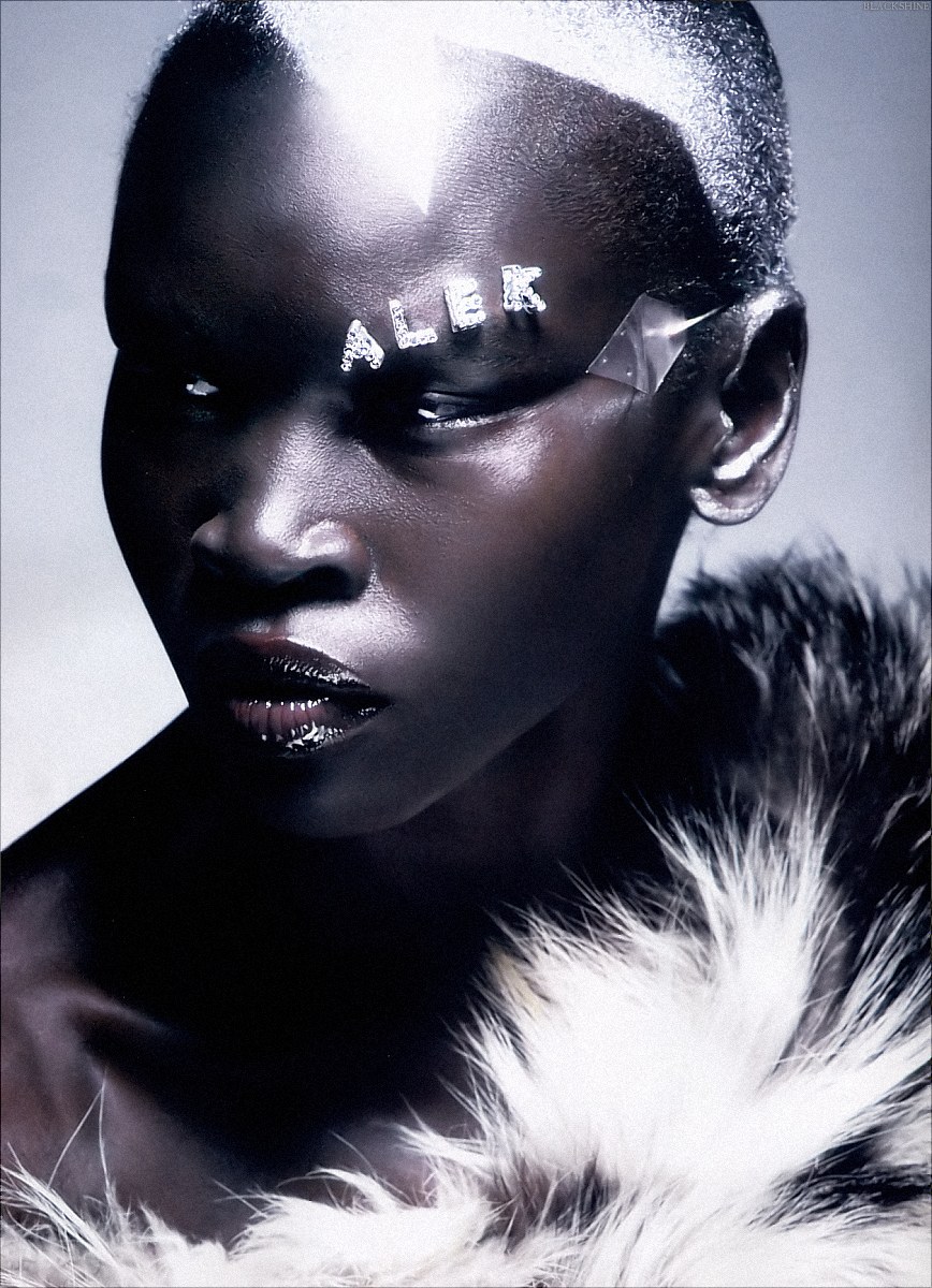 Alek Wek photo #13416