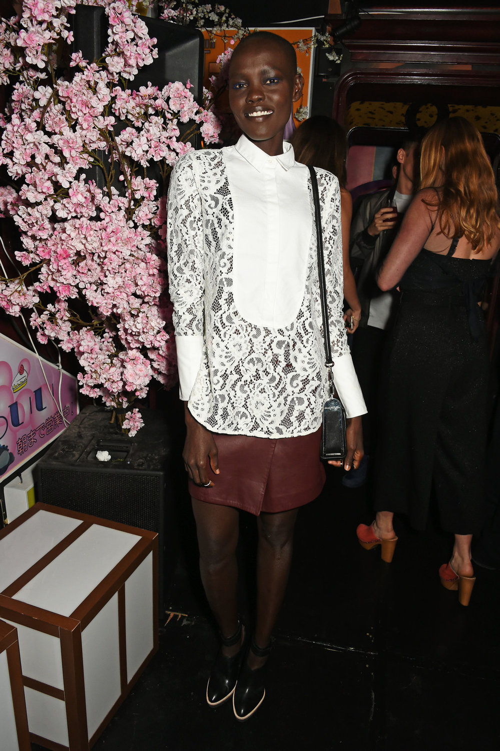 Alek Wek photo #678670