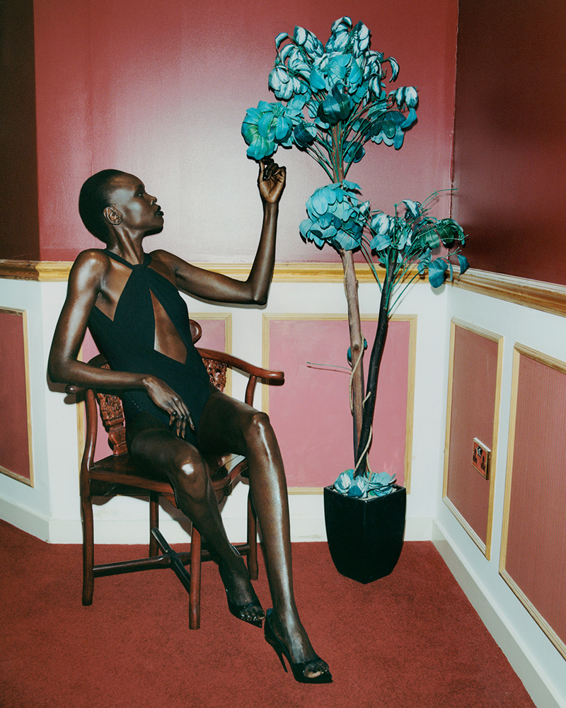 Alek Wek photo #941865