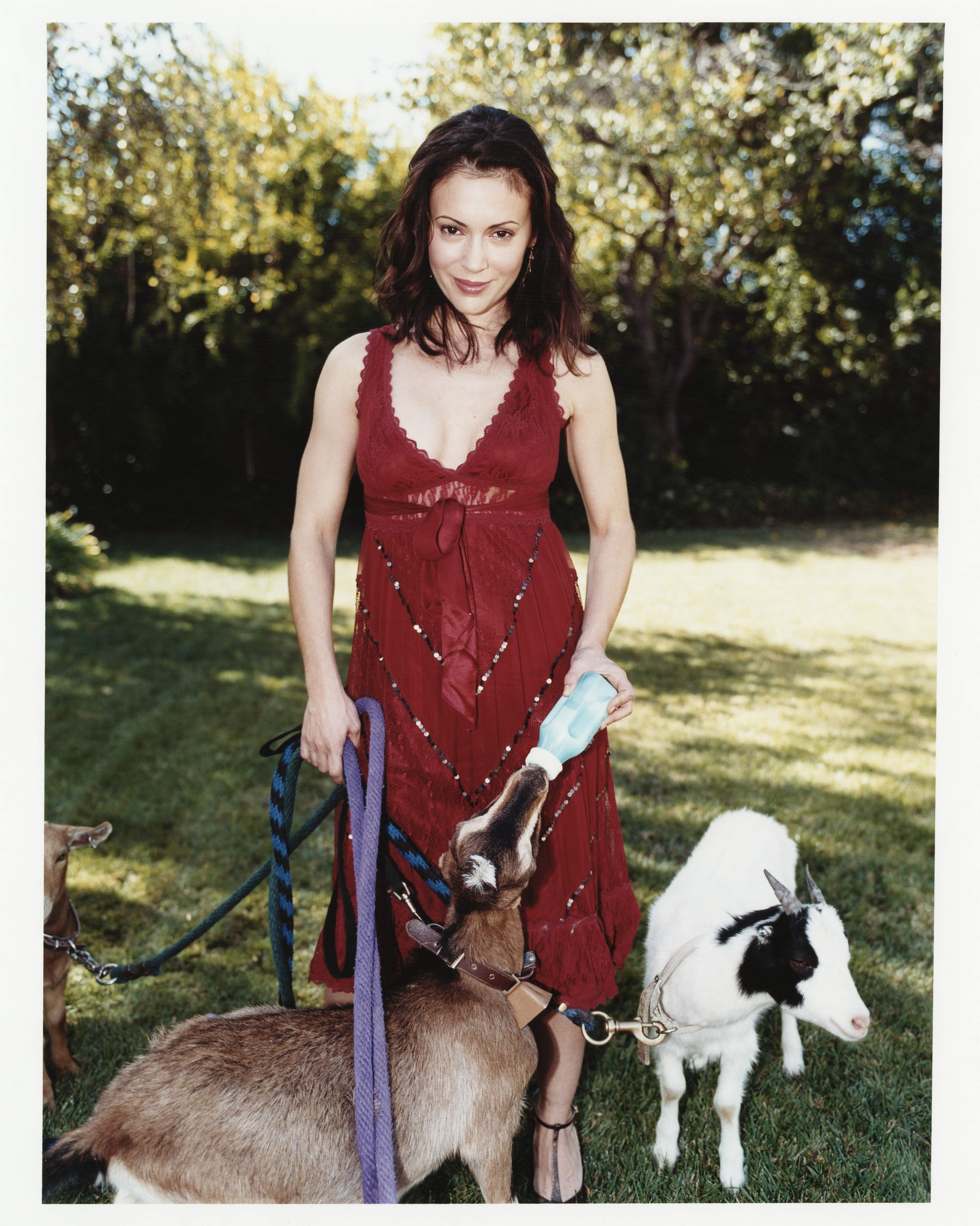 Alyssa Milano photo #249115