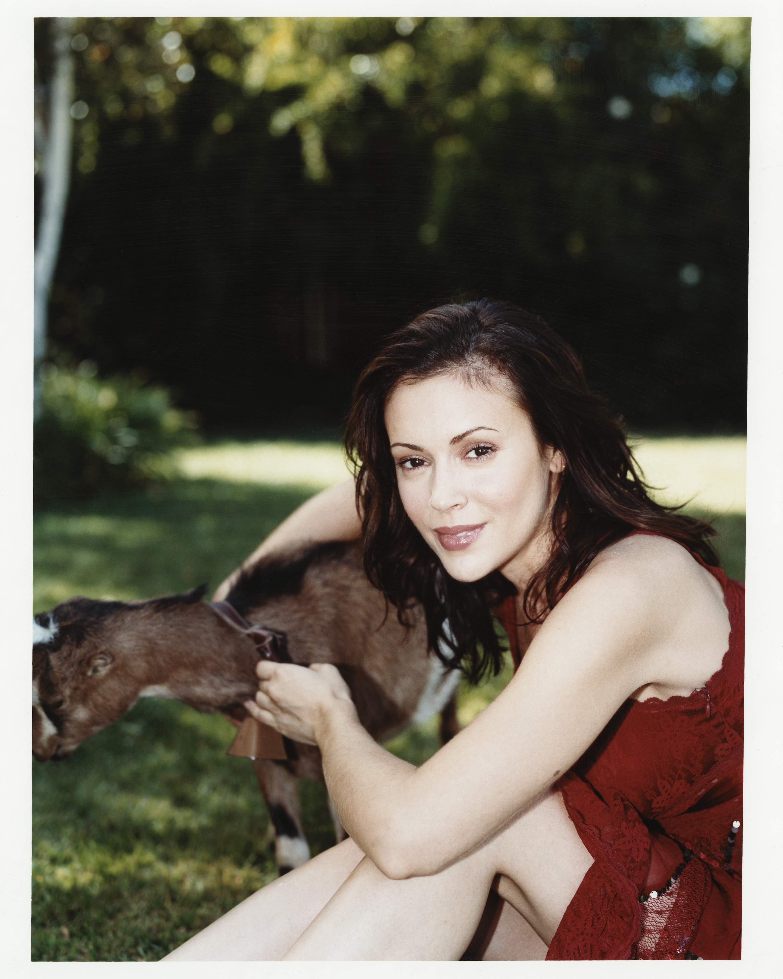 Alyssa Milano photo #249104