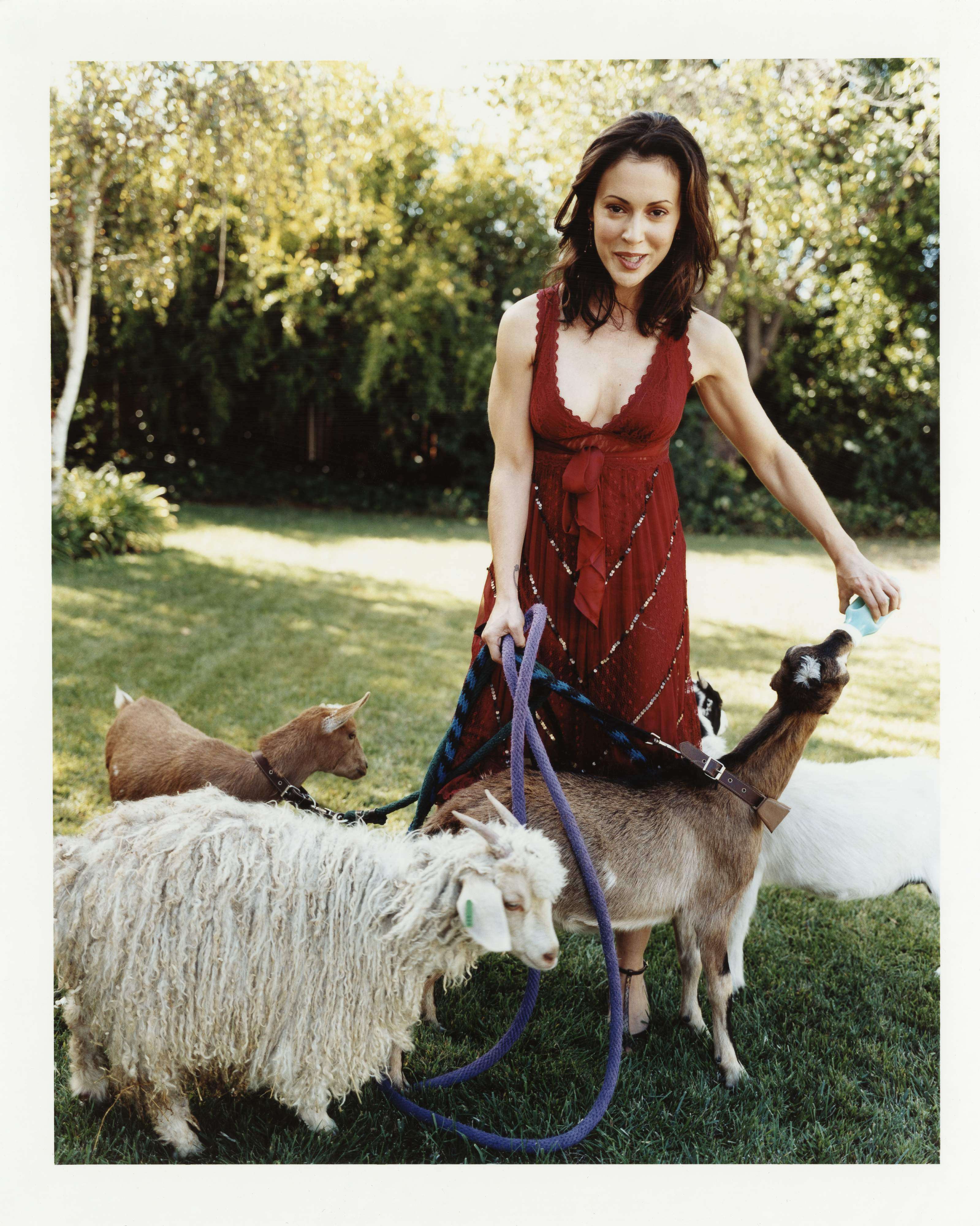 Alyssa Milano photo #249089