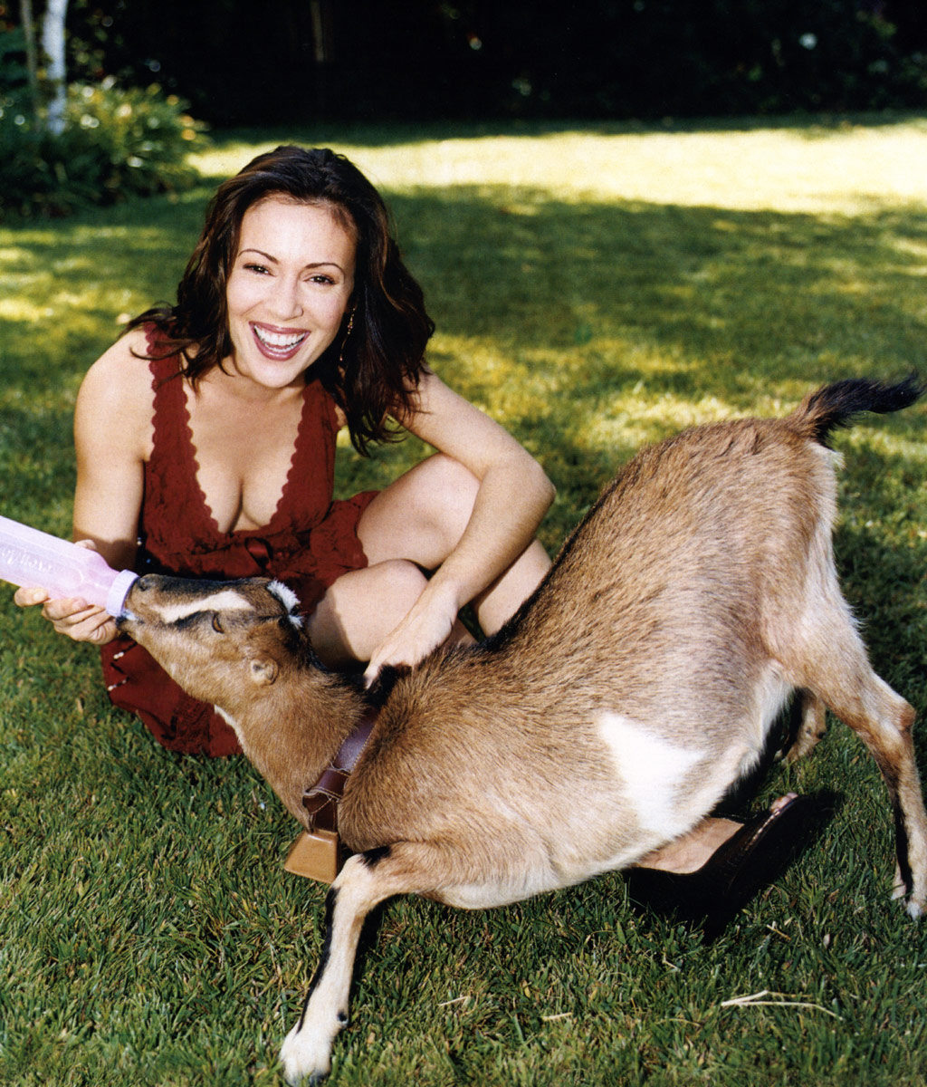 Alyssa Milano photo #35327