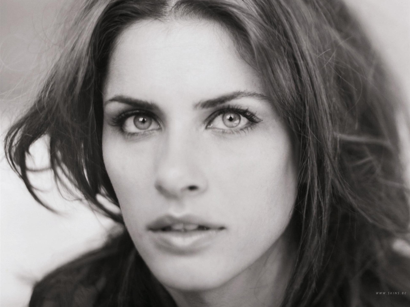 Amanda Peet photo #38511