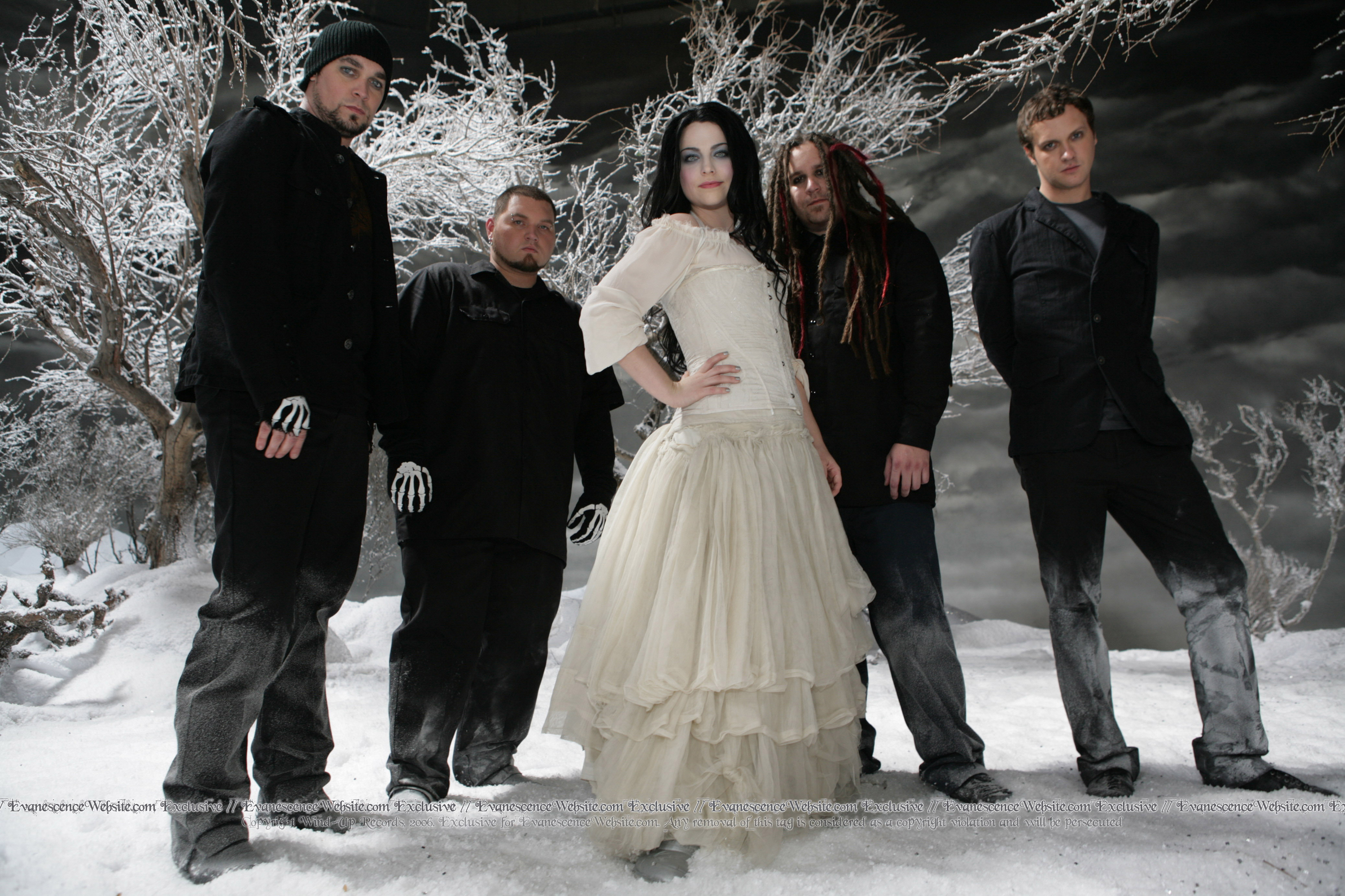 Amy Lee photo #368631