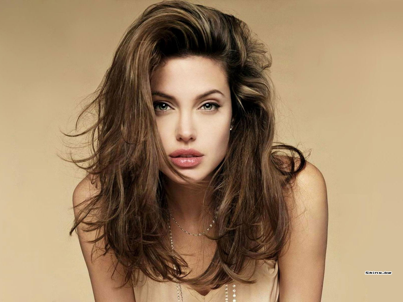 Angelina Jolie photo #29457