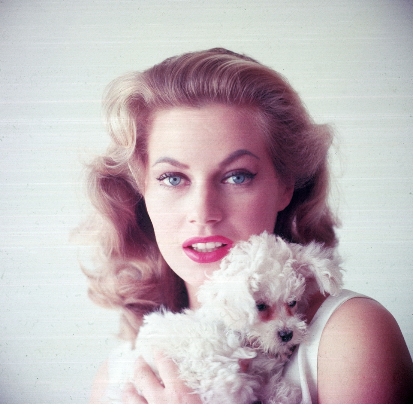 Anita Ekberg photo #248566
