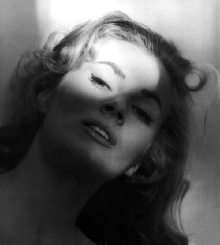 Anita Ekberg photo #248568