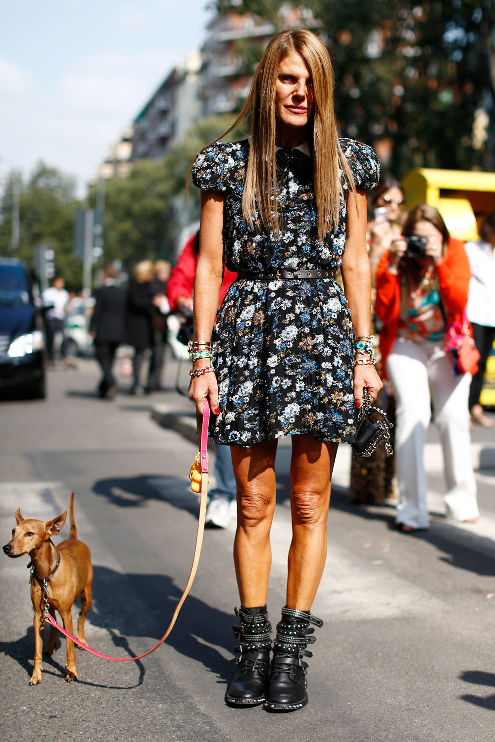 Anna Dello Russo photo #524340