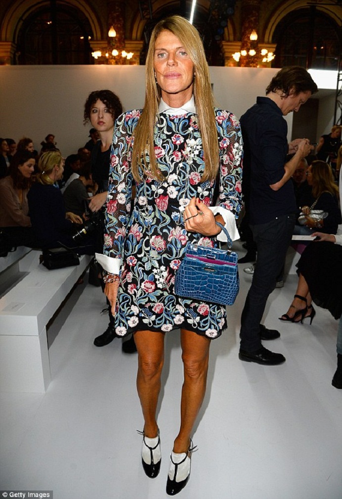 Anna Dello Russo photo #528472