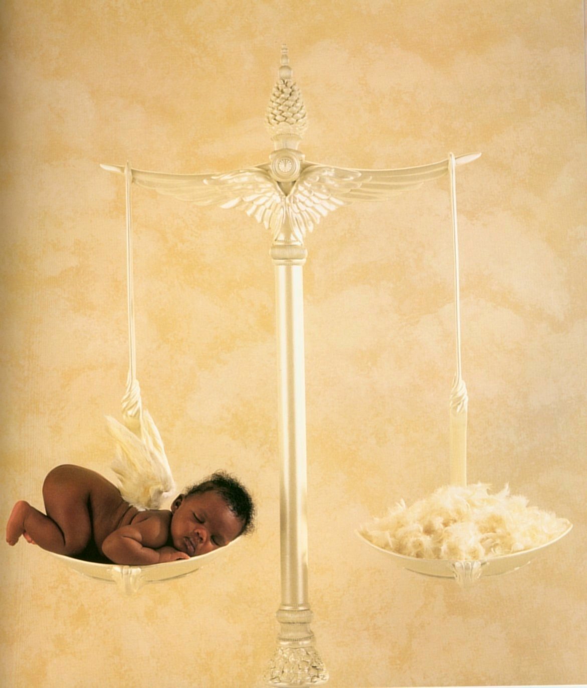 Anne Geddes photo #5340