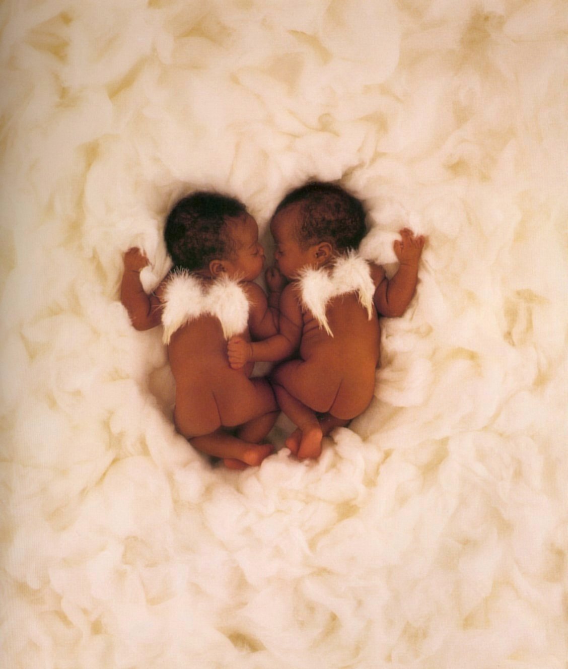 Anne Geddes photo #5342