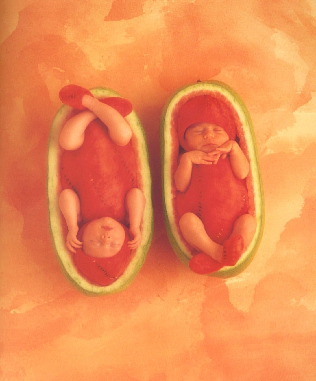 Anne Geddes photo #5348