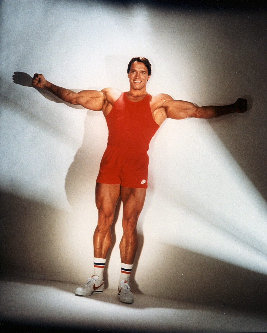 Arnold Schwarzenegger photo #89542